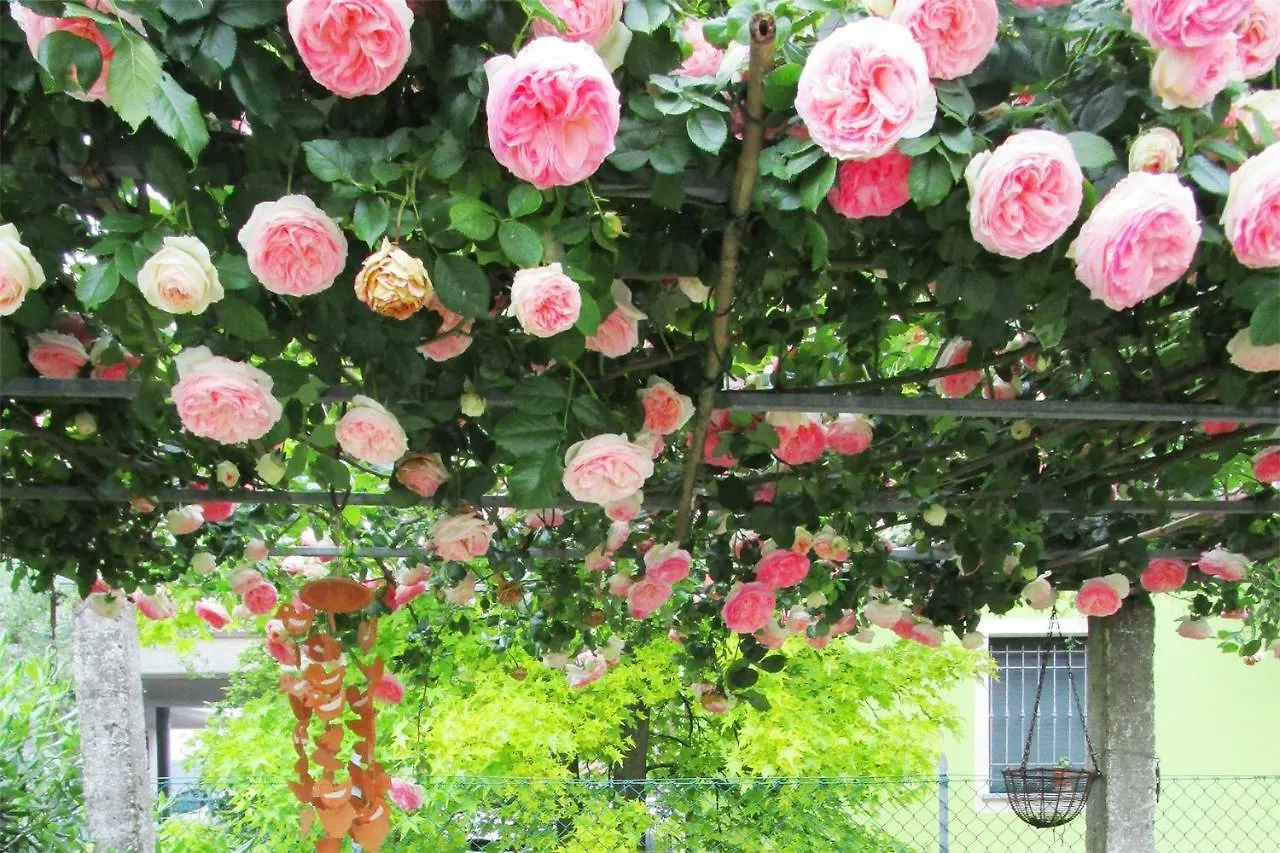 住宿加早餐酒店 Bed And Breakfast Lucia 切塞纳 意大利